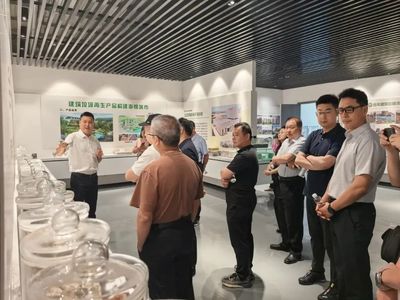 攜手并進，共繪綠色未來——記麗水市生態文明促進會專家團蒞臨天造環保調研指導